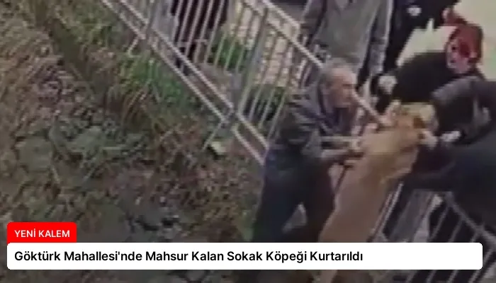 Göktürk Mahallesi’nde Mahsur Kalan Sokak Köpeği Kurtarıldı