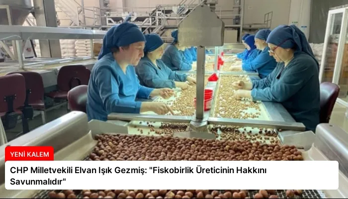 CHP Milletvekili Elvan Işık Gezmiş: “Fiskobirlik Üreticinin Hakkını Savunmalıdır”