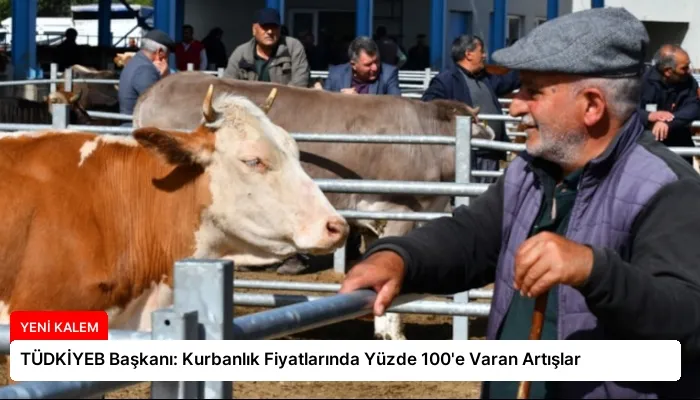 TÜDKİYEB Başkanı: Kurbanlık Fiyatlarında Yüzde 100’e Varan Artışlar