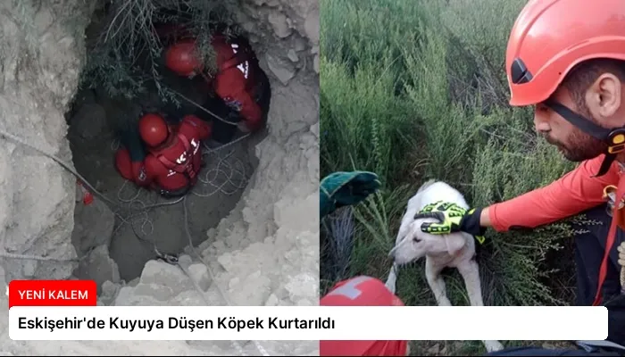 Eskişehir’de Kuyuya Düşen Köpek Kurtarıldı