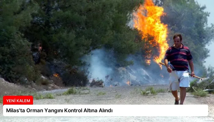 Milas’ta Orman Yangını Kontrol Altına Alındı