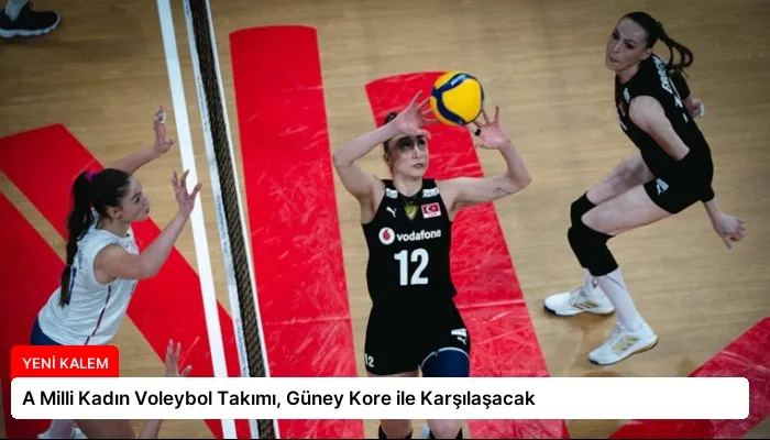 A Milli Kadın Voleybol Takımı, Güney Kore ile Karşılaşacak