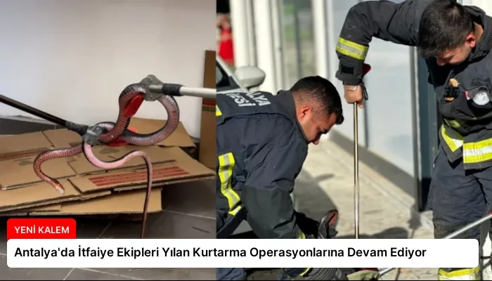 Antalya’da İtfaiye Ekipleri Yılan Kurtarma Operasyonlarına Devam Ediyor