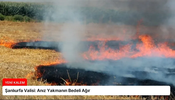 Şanlıurfa Valisi: Anız Yakmanın Bedeli Ağır