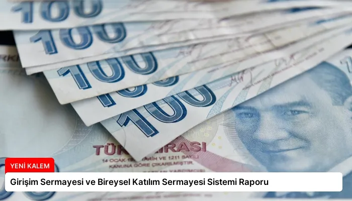 Girişim Sermayesi ve Bireysel Katılım Sermayesi Sistemi Raporu