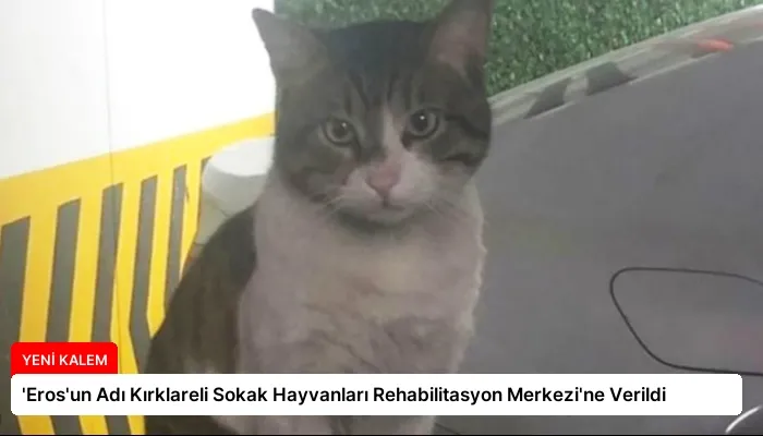 ‘Eros’un Adı Kırklareli Sokak Hayvanları Rehabilitasyon Merkezi’ne Verildi