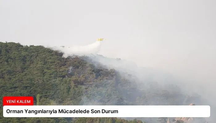 Orman Yangınlarıyla Mücadelede Son Durum