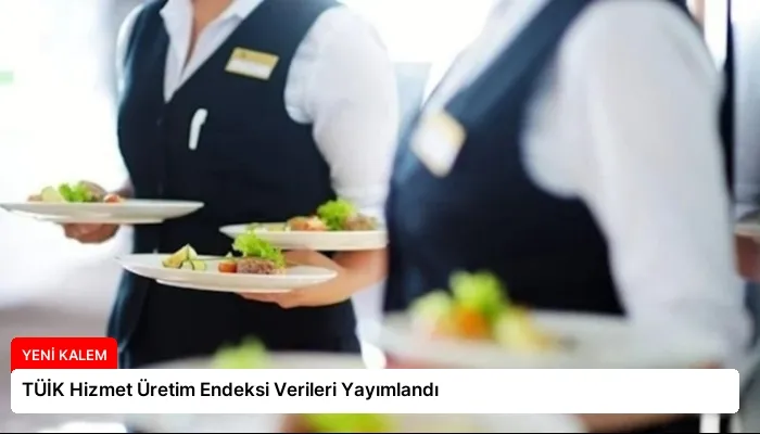 TÜİK Hizmet Üretim Endeksi Verileri Yayımlandı