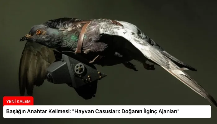 Başlığın Anahtar Kelimesi: “Hayvan Casusları: Doğanın İlginç Ajanları”