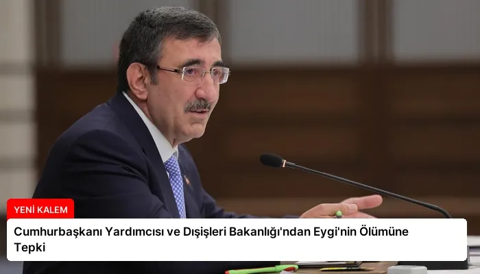 Cumhurbaşkanı Yardımcısı ve Dışişleri Bakanlığı’ndan Eygi’nin Ölümüne Tepki