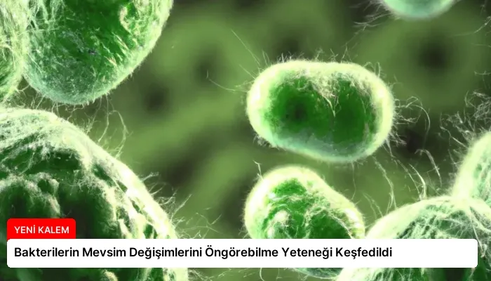 Bakterilerin Mevsim Değişimlerini Öngörebilme Yeteneği Keşfedildi