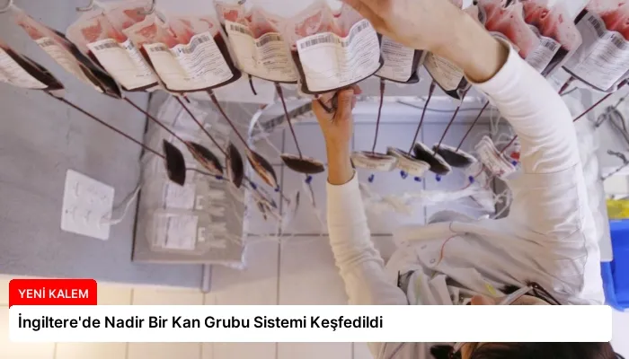 İngiltere’de Nadir Bir Kan Grubu Sistemi Keşfedildi