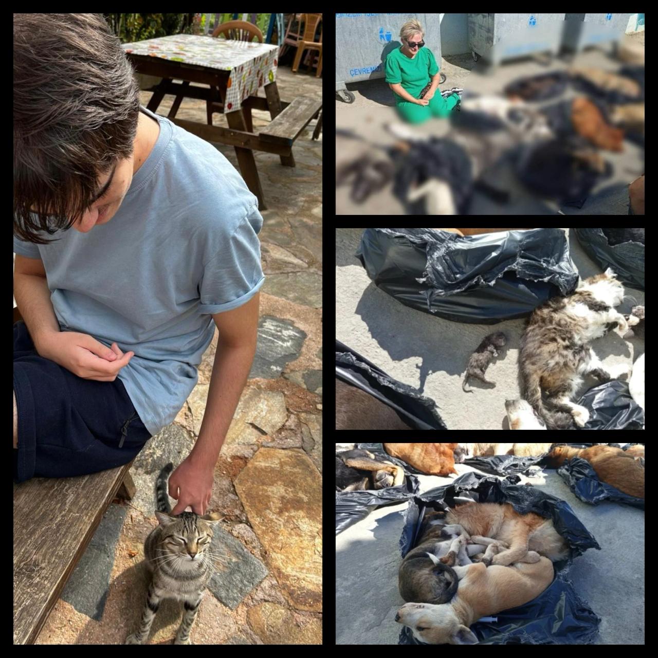 Katliama ve Sessizliğe Dur De!