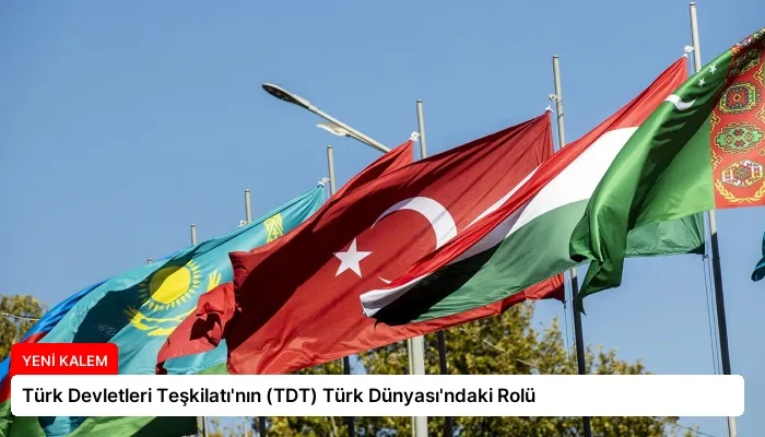 Türk Devletleri Teşkilatı’nın (TDT) Türk Dünyası’ndaki Rolü