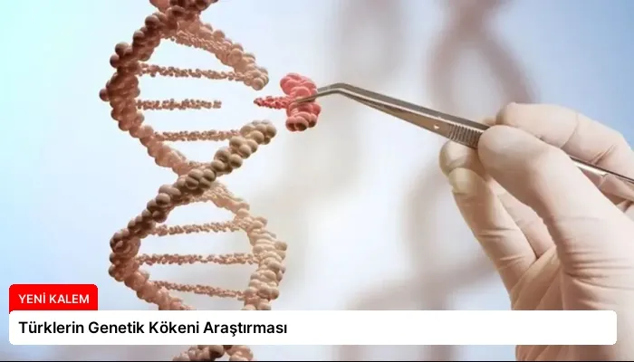 Türklerin Genetik Kökeni Araştırması