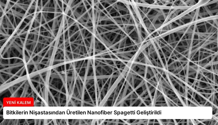 Bitkilerin Nişastasından Üretilen Nanofiber Spagetti Geliştirildi