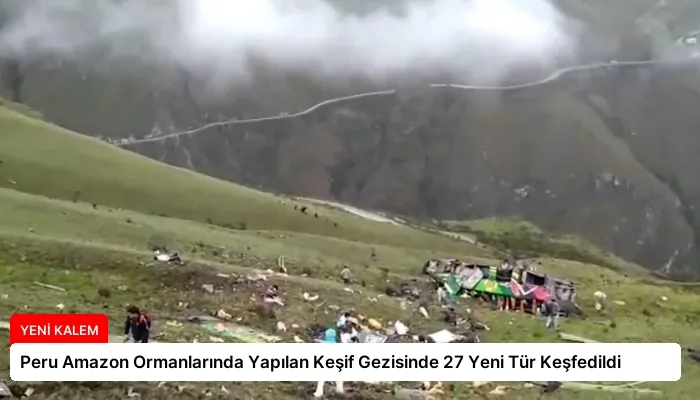 Peru Amazon Ormanlarında Yapılan Keşif Gezisinde 27 Yeni Tür Keşfedildi