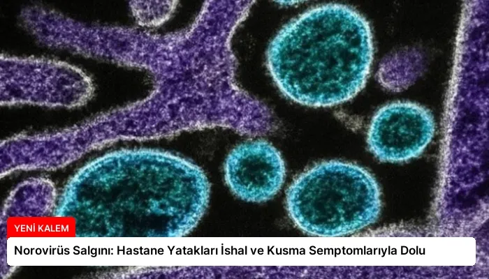 Norovirüs Salgını: Hastane Yatakları İshal ve Kusma Semptomlarıyla Dolu