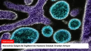 Norovirüs Salgını ile İngiltere’de Hastane Doluluk Oranları Artıyor