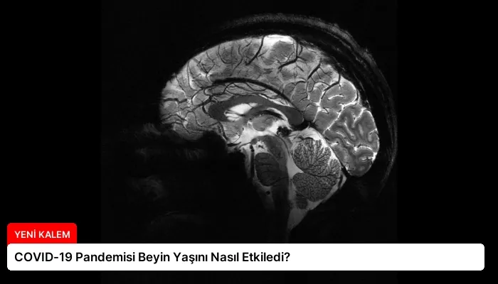 COVID-19 Pandemisi Beyin Yaşını Nasıl Etkiledi?