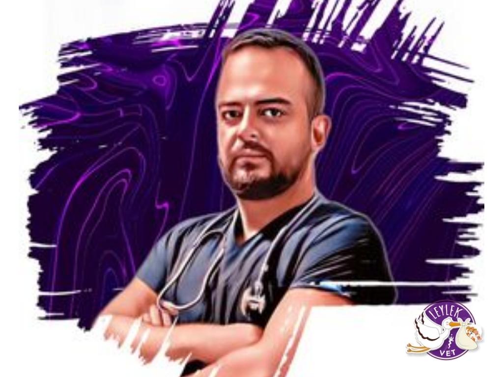 Veteriner Kliniği Mi? Hayvan Hastanesi Mi?