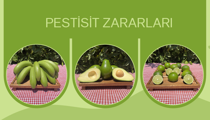 Pestisit Zararları