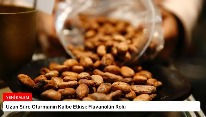 Uzun Süre Oturmanın Kalbe Etkisi: Flavanolün Rolü