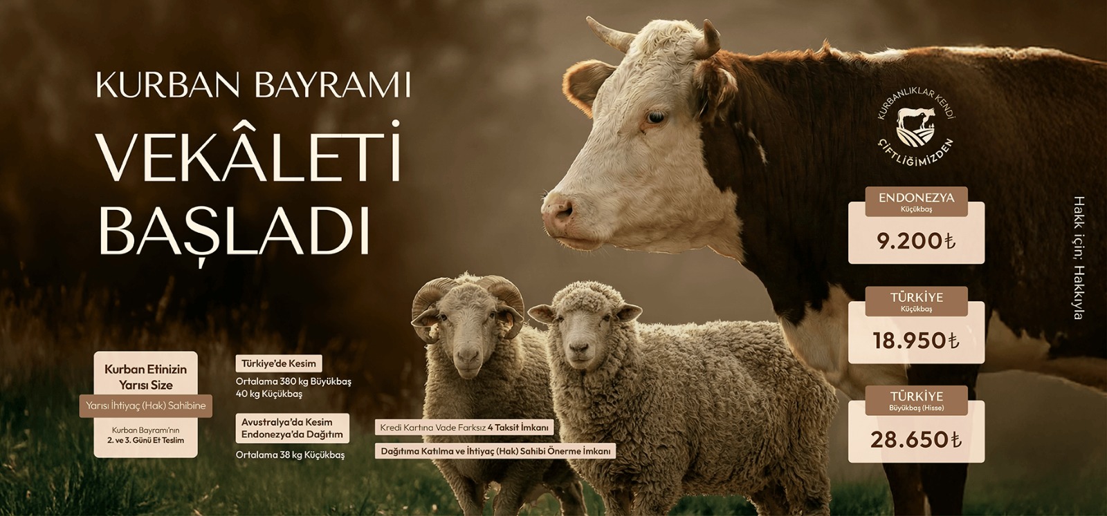 Kurban Bağışında Çocuklara Anlatabileceğiniz En Güzel Bayram Dersi