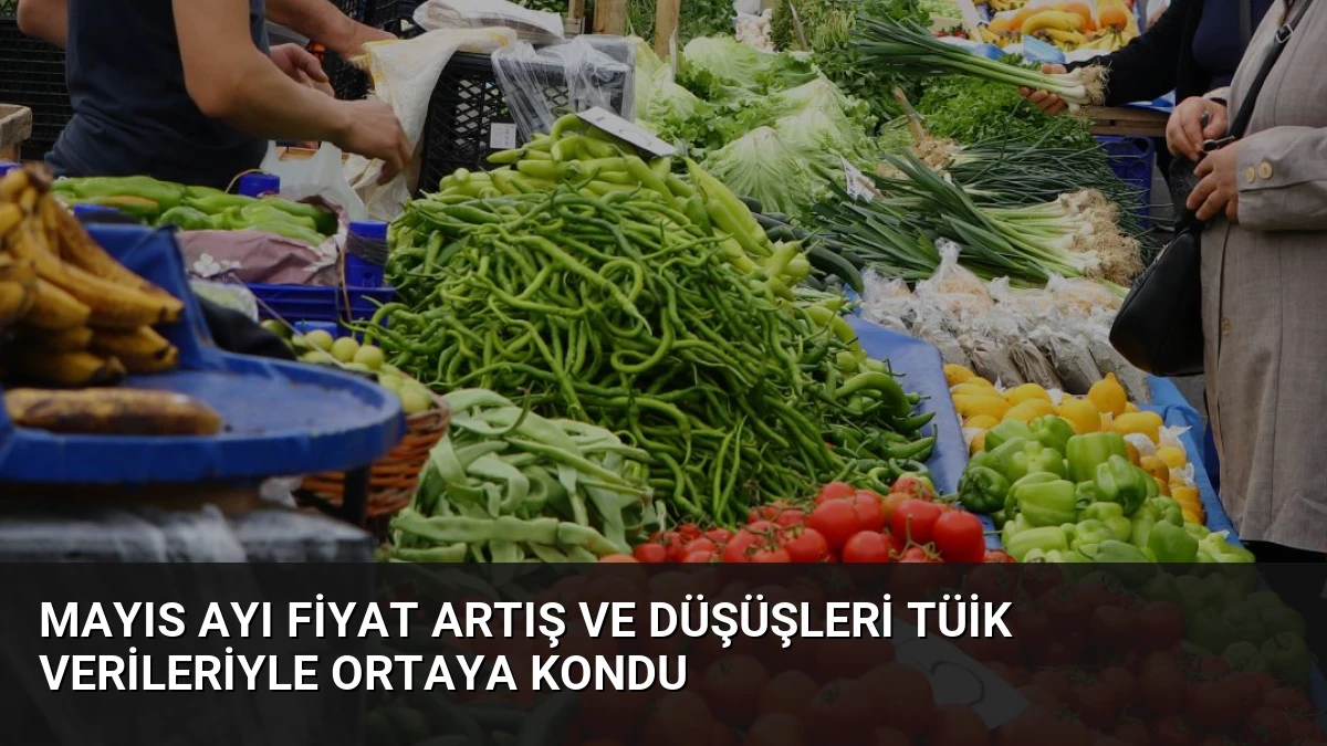 Mayıs Ayı Fiyat Artış ve Düşüşleri TÜİK Verileriyle Ortaya Kondu