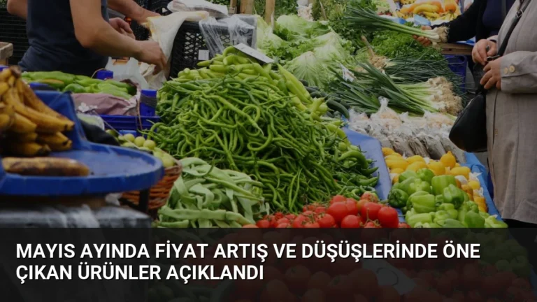 Mayıs Ayında Fiyat Artış ve Düşüşlerinde Öne Çıkan Ürünler Açıklandı