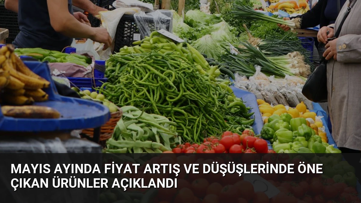 Mayıs Ayında Fiyat Artış ve Düşüşlerinde Öne Çıkan Ürünler Açıklandı