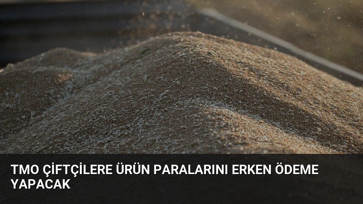 TMO Çiftçilere Ürün Paralarını Erken Ödeme Yapacak