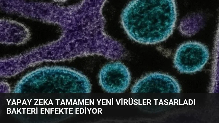 Yapay Zeka Tamamen Yeni Virüsler Tasarladı Bakteri Enfekte Ediyor