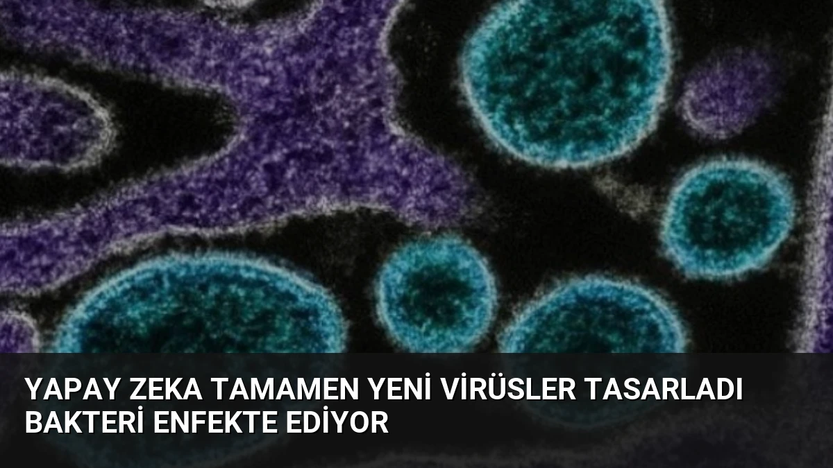 Yapay Zeka Tamamen Yeni Virüsler Tasarladı Bakteri Enfekte Ediyor