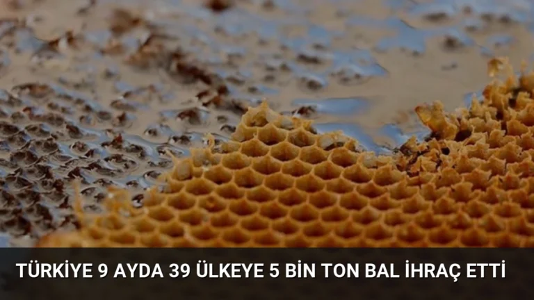Türkiye 9 Ayda 39 Ülkeye 5 Bin Ton Bal İhraç Etti