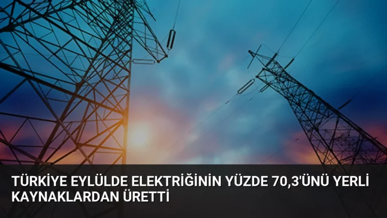 Türkiye Eylülde Elektriğinin Yüzde 70,3’ünü Yerli Kaynaklardan Üretti